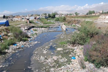 تلوث نهر الليطاني