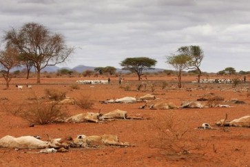 أدى ارتفاع درجات الحرارة إلى حدوث جفاف في كثير من المناطق عام 2016