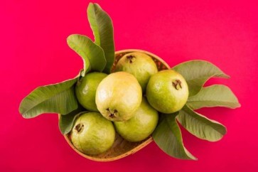 وراق الجوافة وخل التفاح ... وصفات طبيعية للتخلص من السعال الى الأبد!