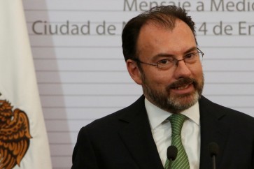 وزير الخارجية المكسيكي الجديد لويس فيدجاراي