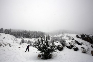 ثلوج لبنان