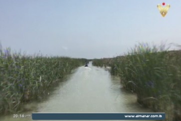الاهوار في العراق