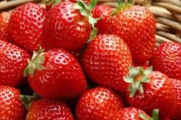 الفراولة تقي من الإصابة بمرض الزهايمر