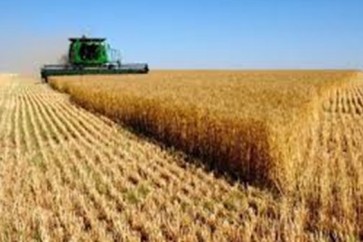 الانتاج الزراعي الايراني ينمو 25 بالمئة في 5 سنوات