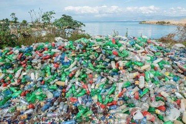 حل طبيعي يخلص البيئة من النفايات البلاستيكية الضارة.. ما هو؟