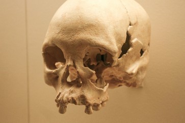 العلماء يكتشفون جمجمة عمرها أكثر من 10 آلاف عام في الصين
