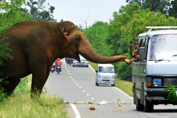 Srilanka-Tourism