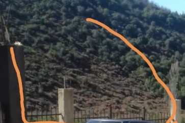 قطع أشجار سنديان في بلدة عزقي الضنية