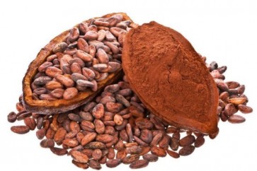 Cacao1