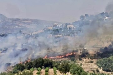 تجدد الحريق في باتر الشوف والاهالي يناشدون الجيش والمعنيين التدخل