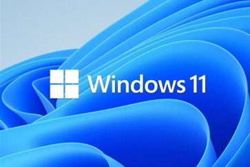 Windows 11