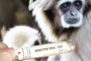 Monkey Pox Virus