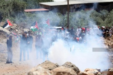 إصابات وحالات اختناق في مواجهات مع قوات الاحتلال في الضفة المحتلة