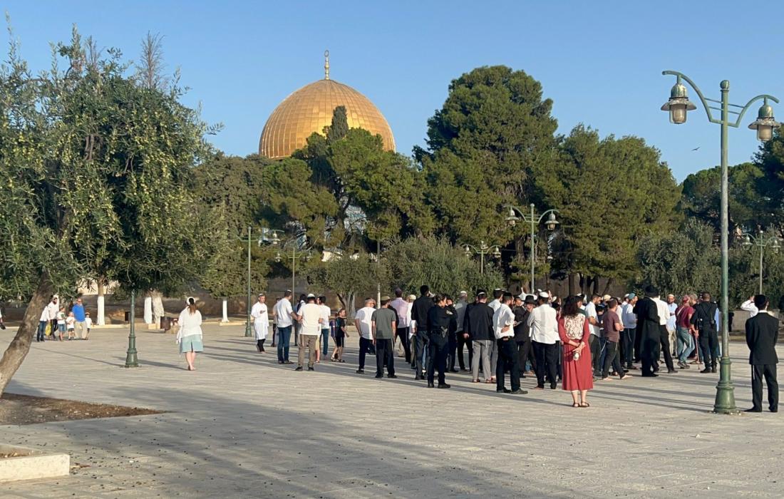 عشرات المستوطنين يقتحمون المسجد الأقصى ودعوات حثيثة للتصدي للاقتحامات
