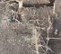 Sequence 01.00_00_25_23.Still001