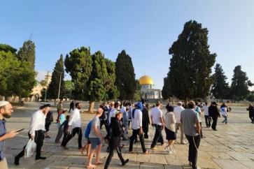 قطعان المستوطنين تبدا باقتحام باحات المسجد الاقصى المبارك