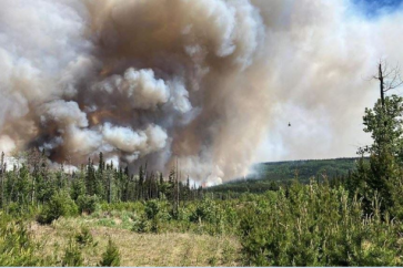 Forest Fires Canada