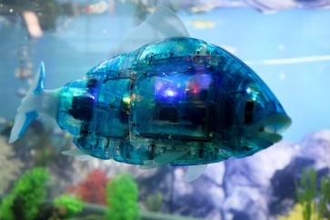 Robot Fish